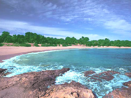Cala Bassa - Ibiza Beaches
