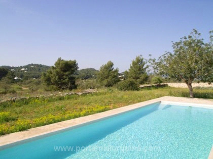 Large swimming pool