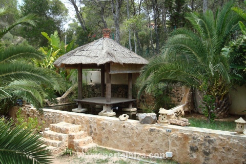 Swimming pool and terraces