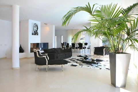 Living and dining area