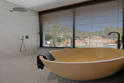 Large bathroom