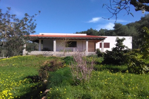 Beautiful Finca With Unfinished House Surrounded By Ots Of