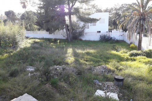 View of the plot