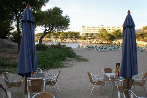 Restaurant in first sea line in Port des Torrent