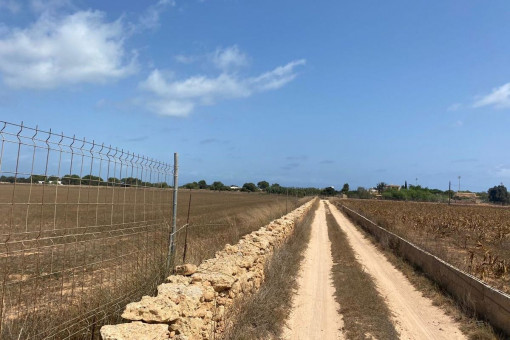 View of the plot