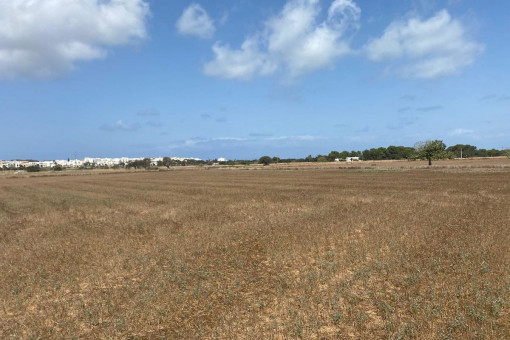 View of the plot