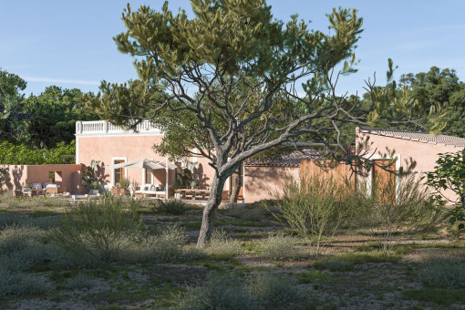 Exterior view